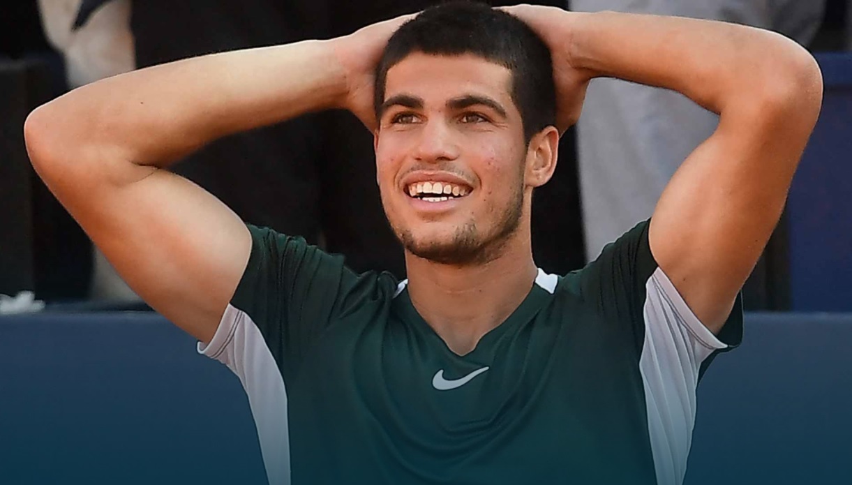 仅体现了个 仅体现了个